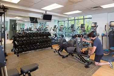 Rented by The Albanese Organization