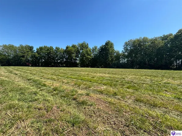 11255 Rhodelia Rd, Rhodelia, KY 40161