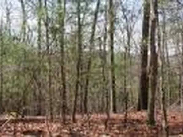 4-5&6 Mountain Wood Dr, Murphy, NC 28906