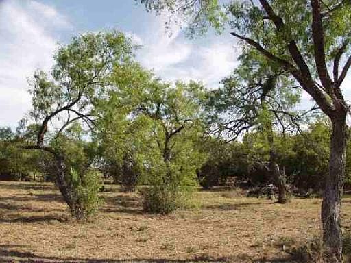 3rd image of 25 ACRES CR 341