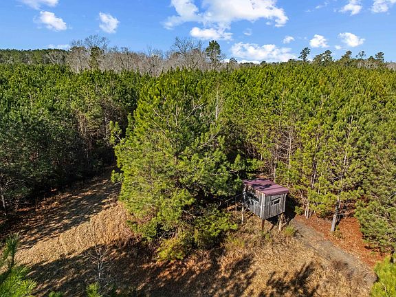 4th image of TBD 183 Acres Blakely Rd. #Blakely Plantation