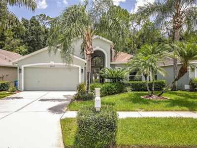 29523 Birds Eye Dr, Zephyrhills, FL, 33543