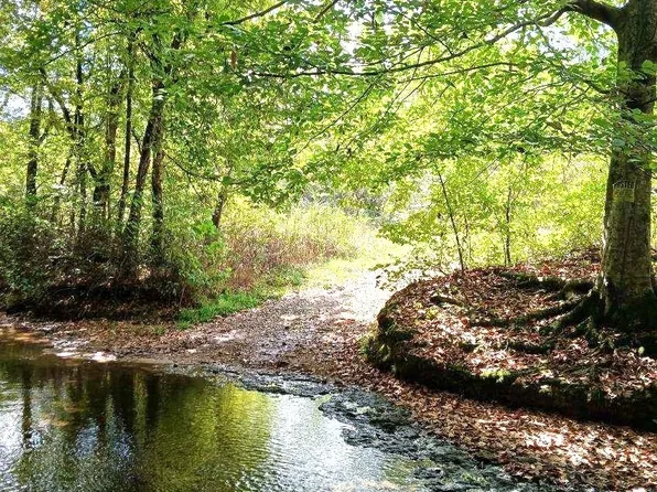 300 Rush Branch Rd, Hohenwald, TN 38462