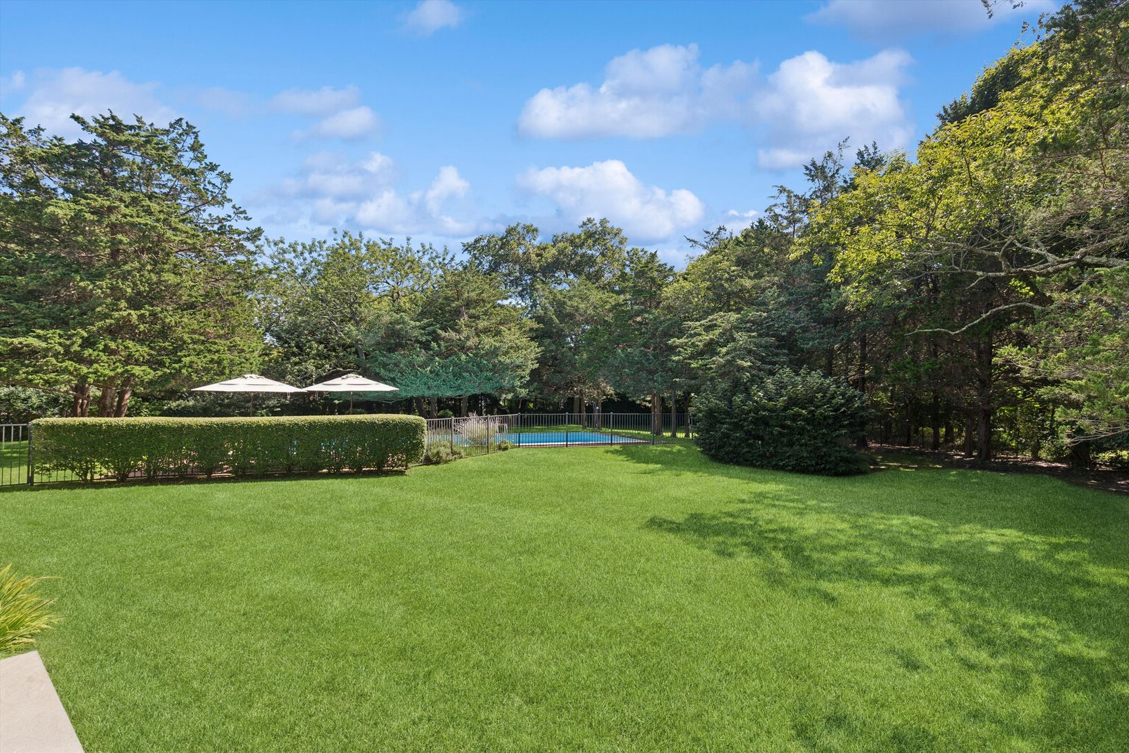  Rear yard.