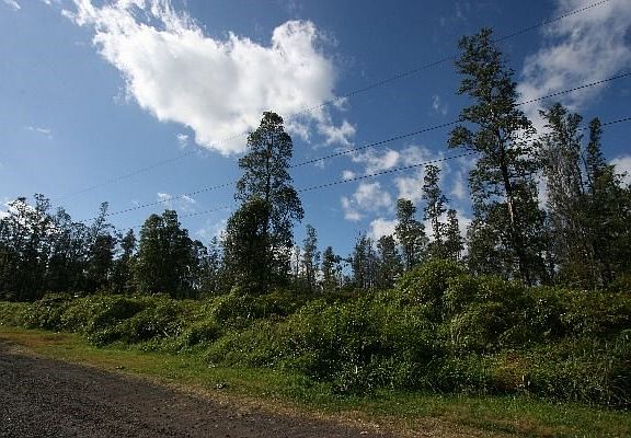 4th image of 40th St Lot 19