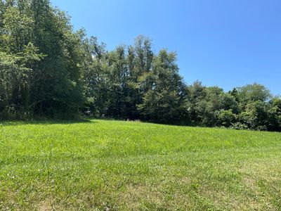 529 Parsonage Ave, Rural Retreat, VA, 24368