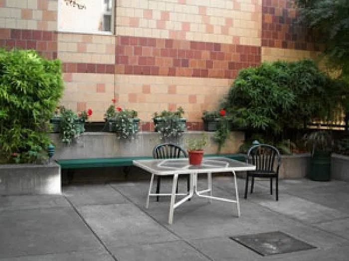Studio, 220 sqft, $480 — Photo 2