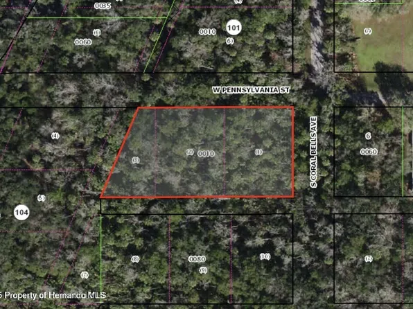 0 Dunn & Pennsylvania St, Homosassa, FL 34448