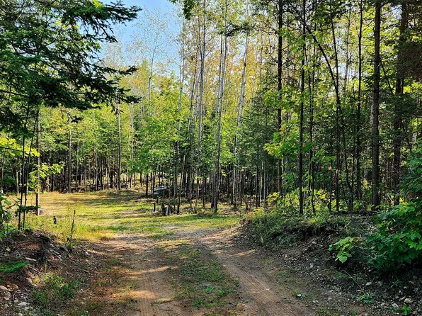 8376 N Amber Lake Rd, Lac Du Flambeau, WI 54538