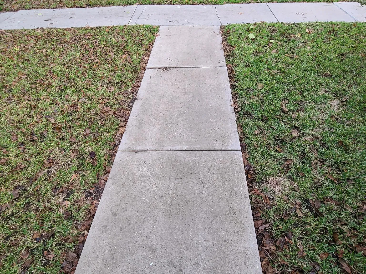 2 bed, 1050 sqft, $1,100 — Photo 2