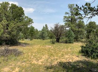 23400 Apishipa Ln, Aguilar, CO 81020