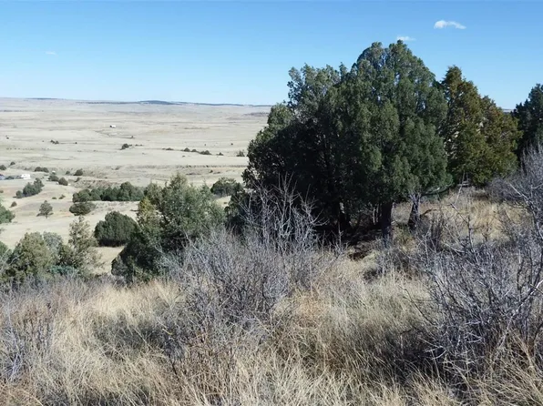 35584 Comanche Creek Road, Kiowa, CO 80117