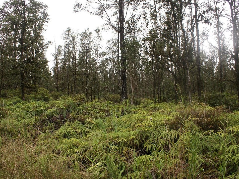 2nd image of Ooaa Road Rd #6-lot 4200