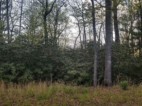5th image of Hickory Hill Cir
