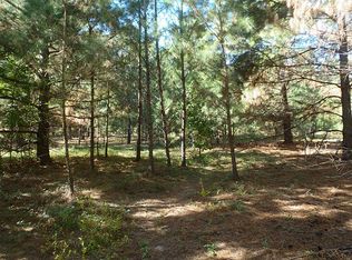 27703 Dobbin Huffsmith Rd, Magnolia, TX 77354