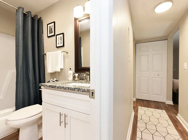 Bathroom and Hallway