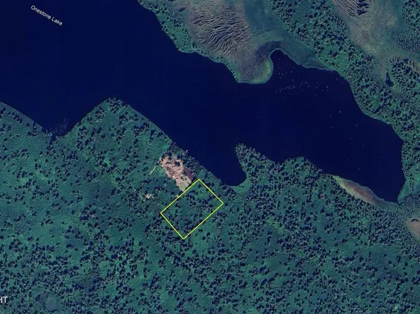 L6 B Onestone Ln #11, Skwentna, AK 99667