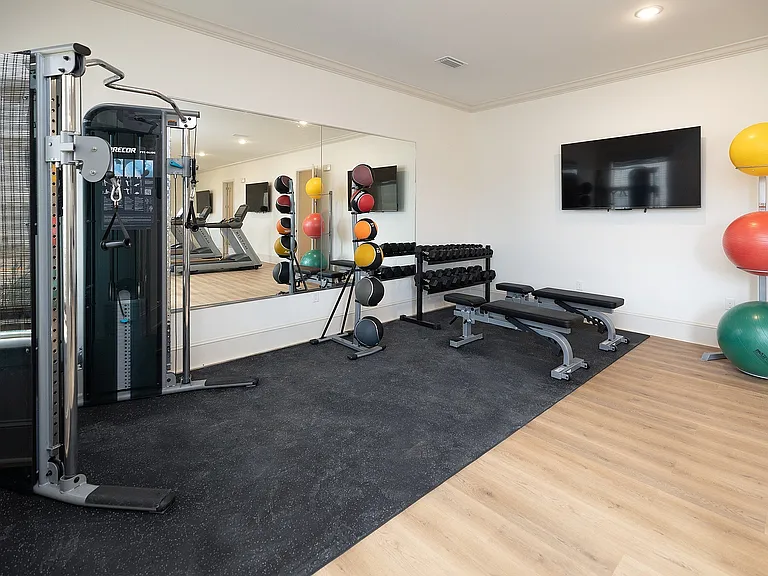Gym Free Weights Area