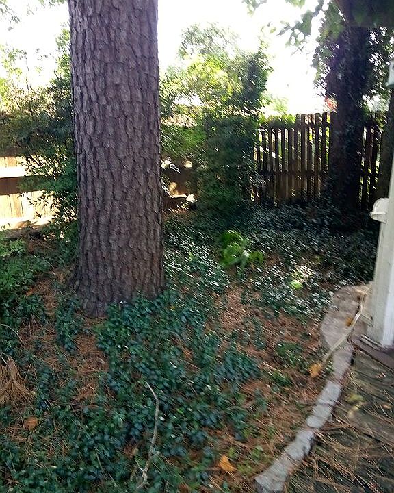 2nd image of 16330 Dew Drop Ln