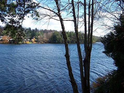 Center Pond from property