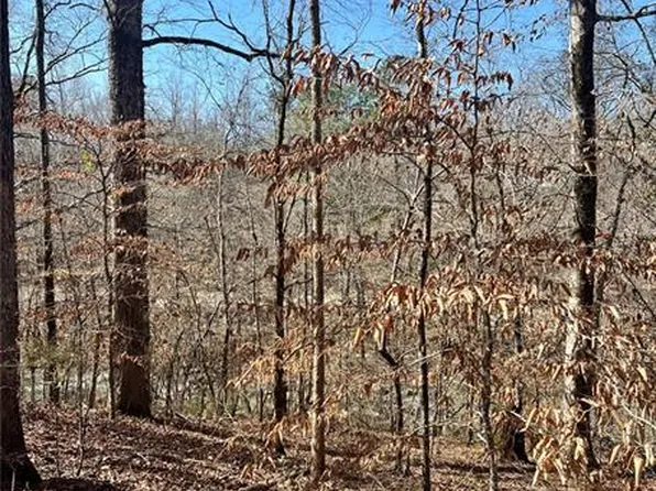 0 Lee Road 2037, Salem, AL 36874