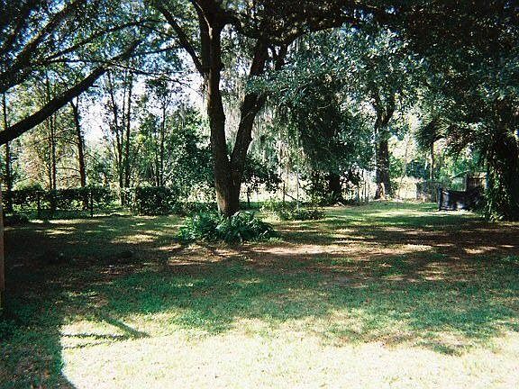 some of back yard