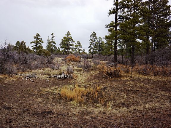 4th image of 31242 Road 31