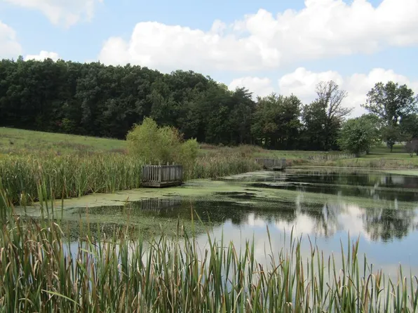 LOT 19 Hack Beaty Rd, Grimsley, TN 38565