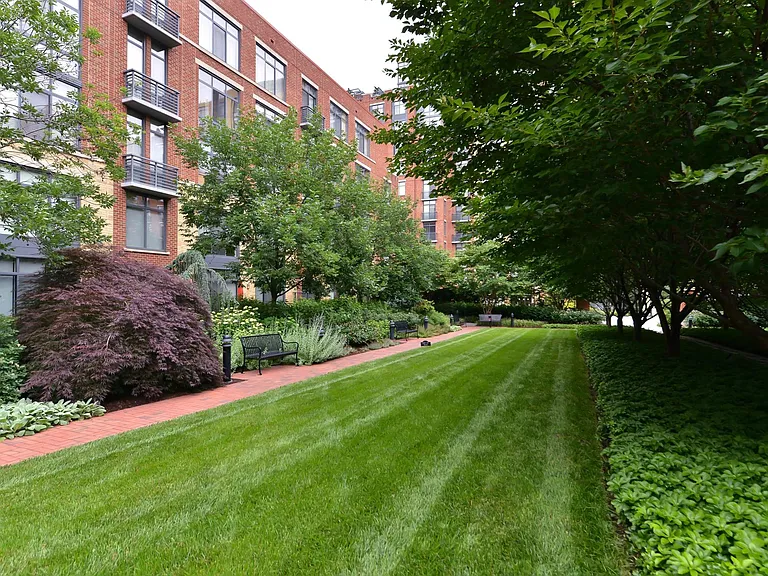 520 John Carlyle St #234 — Photo 30