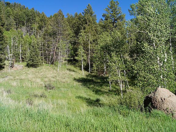 2nd image of 765 Pinon Ln