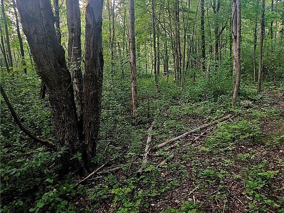 4th image of 15282 Leroy Rd