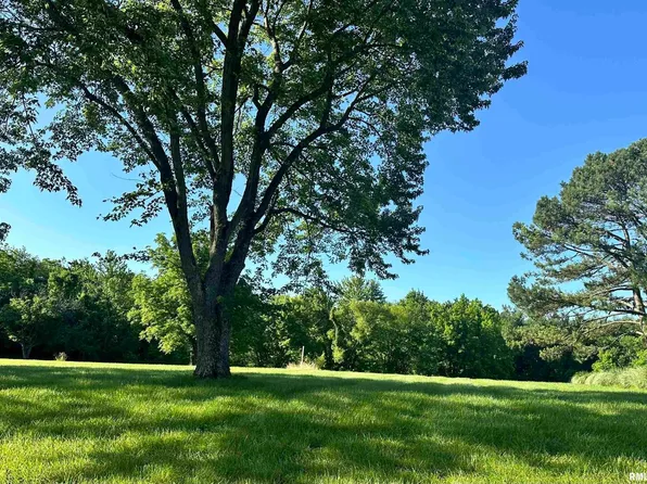 0 Brady Mill Rd, Anna, IL 62906