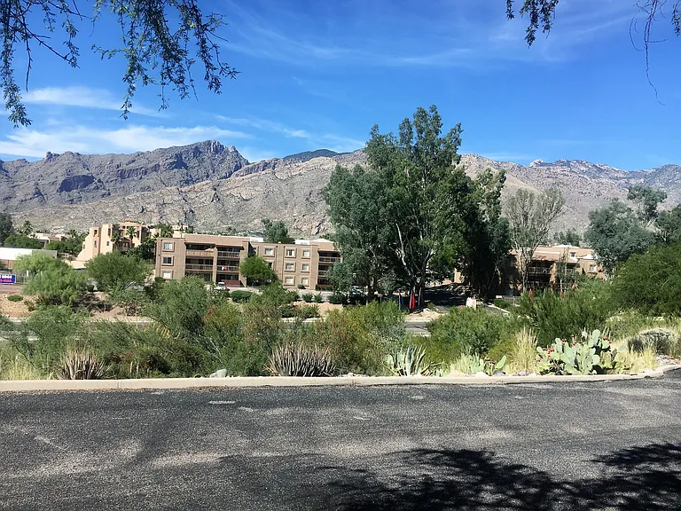 4846 E Placita Arenosa — Photo 3
