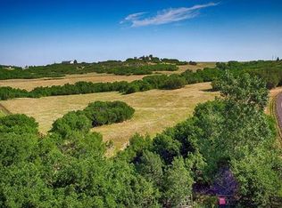 1669 Creedmoor Ct, Castle Rock, CO 80109