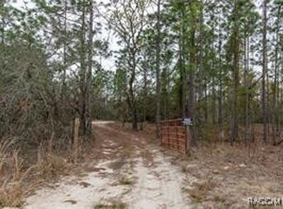 3057 W Scooter Ln, Dunnellon, FL, 34433