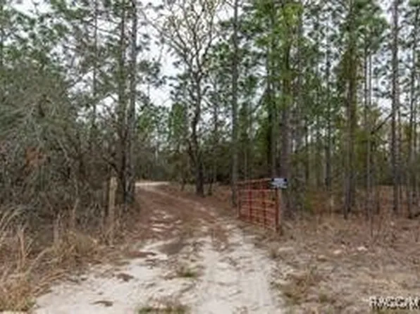 3057 W Scooter Ln, Dunnellon, FL 34433