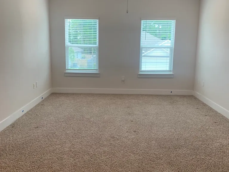 4475 Water Leaf Cv — Photo 6