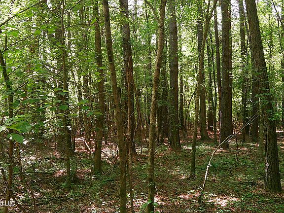 5th image of Pleasant Hills Rd