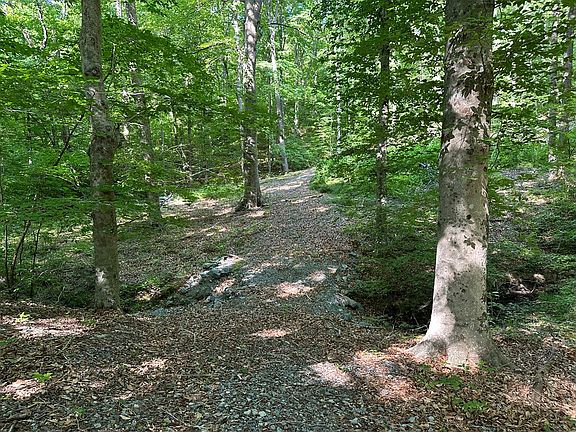 5th image of LOT 34 36 Monacarn Ct