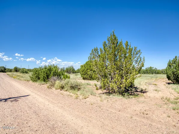 8556 Cannon Blvd, Show Low, AZ 85901