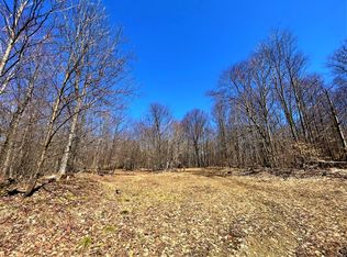 Kansas Hollow Rd, Bolivar, NY 14715