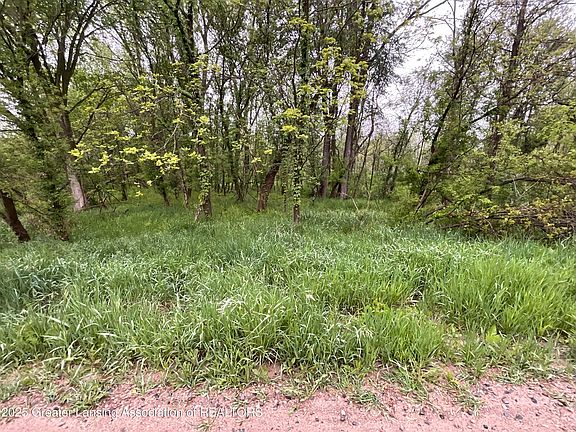 2nd image of 0 Carlisle Hwy