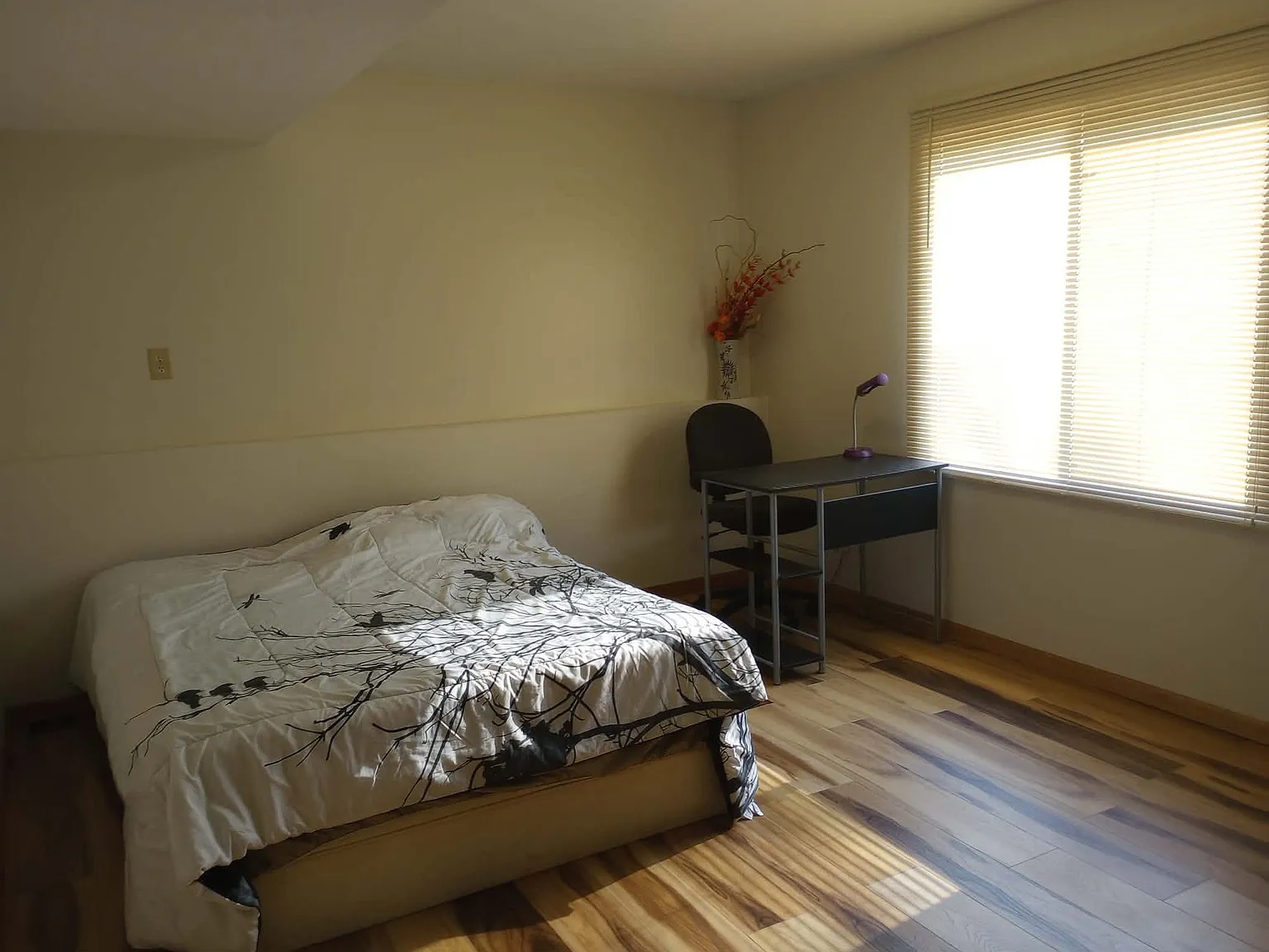 3535 Widgeon Way — Photo 3