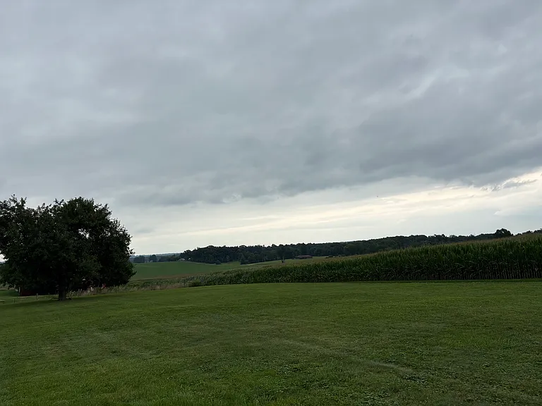 16556 Fox Lake Rd — Photo 10