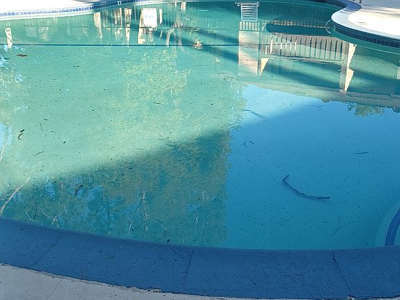 4th image of 12315 Graham St APT 26