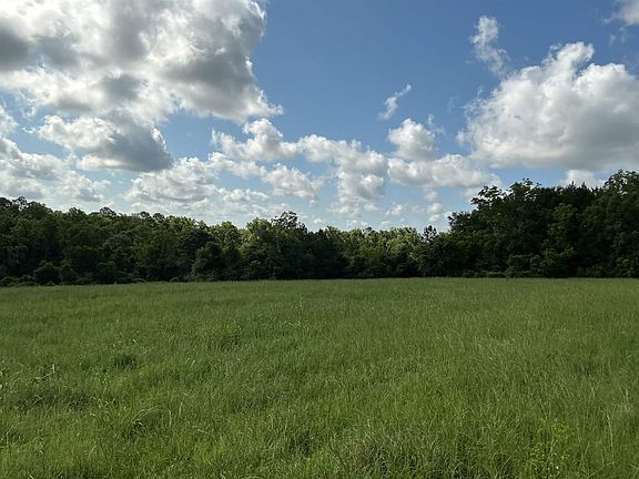 4th image of 10458 State Highway 55