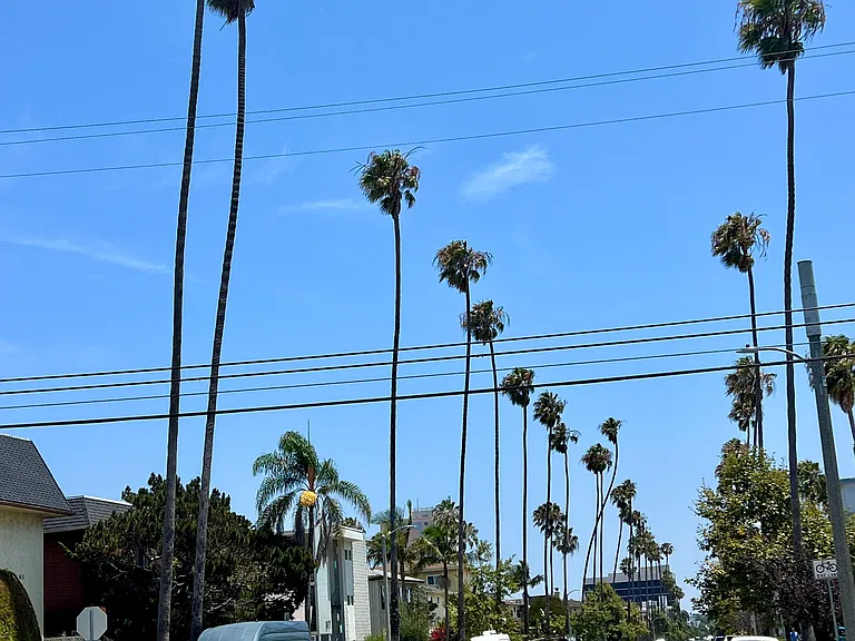 608 Idaho Ave #7 — Photo 9