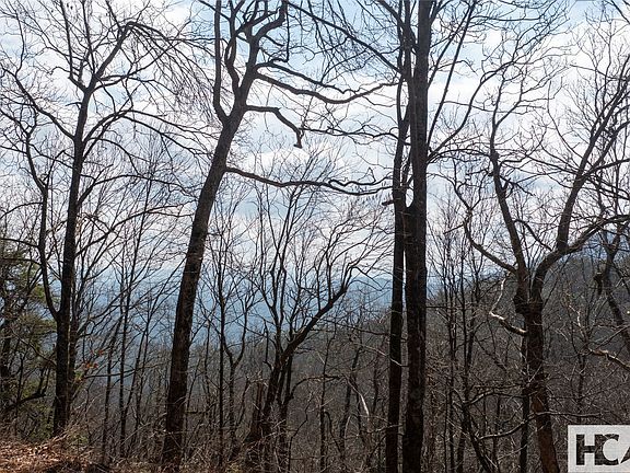 2nd image of LOT 1 King Gap Road