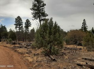 2014 Running Elk Rd, Overgaard, AZ 85933