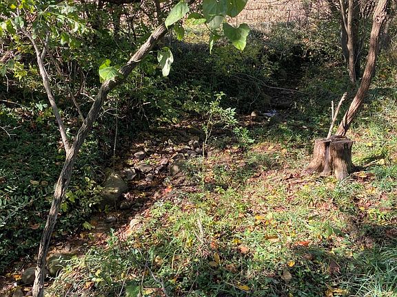 4th image of 1764 Hallie Ln